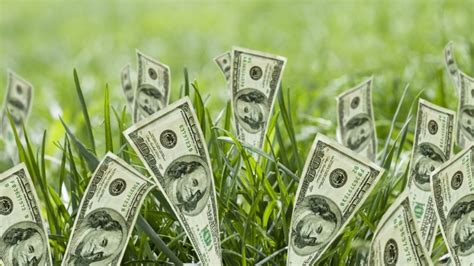Make MONEY! .